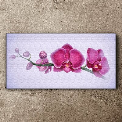 Orchids in delicate shades of pink Canvas wall art