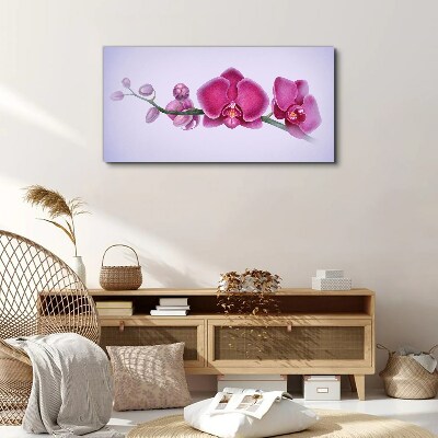 Orchids in delicate shades of pink Canvas wall art