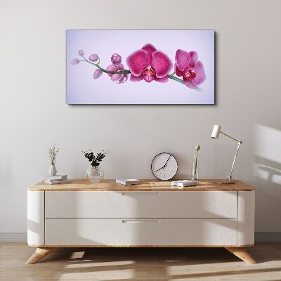 Orchids in delicate shades of pink Canvas wall art