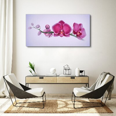 Orchids in delicate shades of pink Canvas wall art