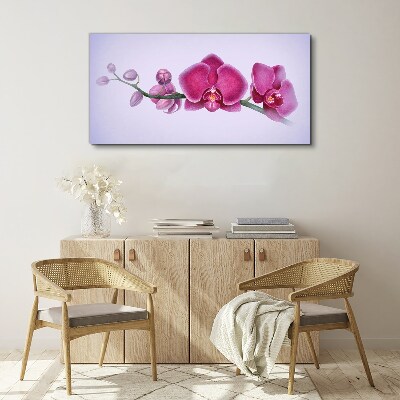 Orchids in delicate shades of pink Canvas wall art