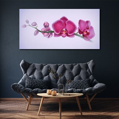 Orchids in delicate shades of pink Canvas wall art