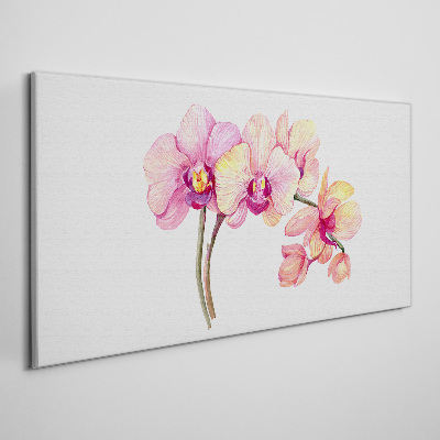 The floral beauty of orchids Print on canvas