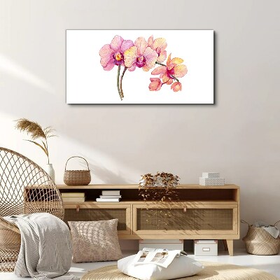 The floral beauty of orchids Print on canvas