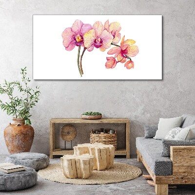 The floral beauty of orchids Print on canvas