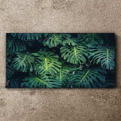 Tropical Green in Monstera Leaves Canvas wall art