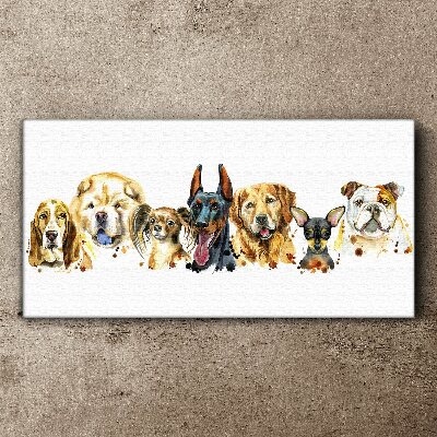 Dog friendships in colors Canvas wall art