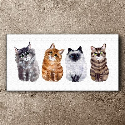Cats in different shades Print on canvas