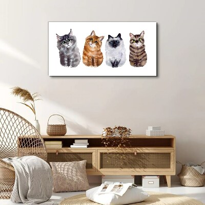 Cats in different shades Print on canvas