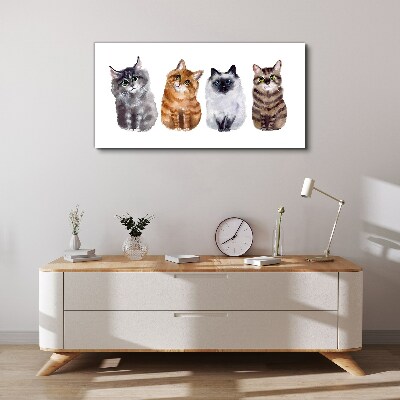 Cats in different shades Print on canvas