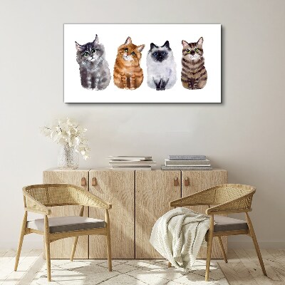 Cats in different shades Print on canvas