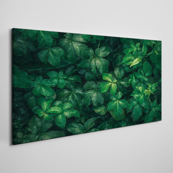 Green thicket of leaves Canvas wall art