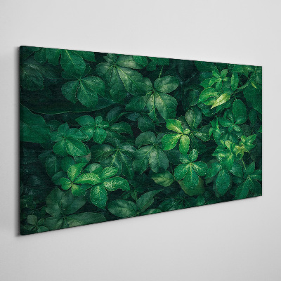 Green thicket of leaves Canvas wall art