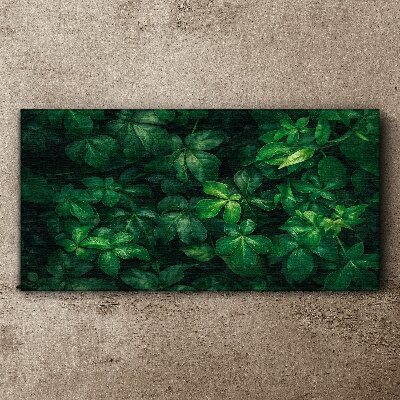 Floral leaf leaves Canvas Wall art