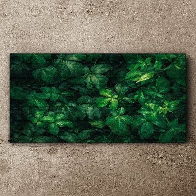 Green thicket of leaves Canvas wall art
