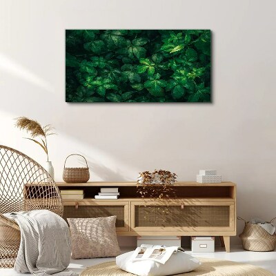 Green thicket of leaves Canvas wall art