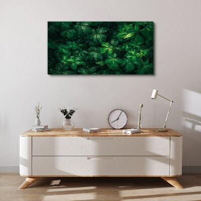 Green thicket of leaves Canvas wall art