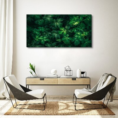 Green thicket of leaves Canvas wall art