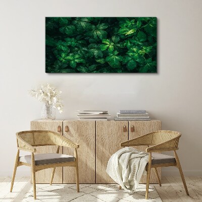 Green thicket of leaves Canvas wall art