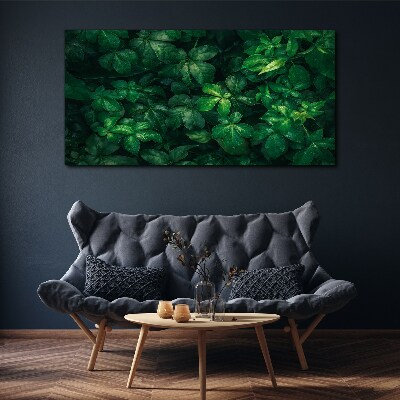 Green thicket of leaves Canvas wall art
