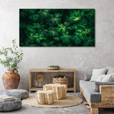 Green thicket of leaves Canvas wall art