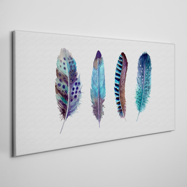 Colorful Feathers on White Background Print on canvas