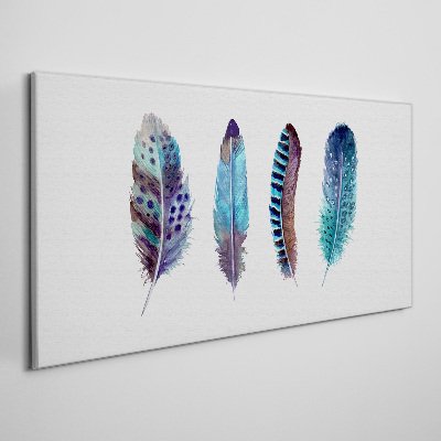 Colorful Feathers on White Background Print on canvas