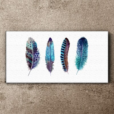 Colorful Feathers on White Background Print on canvas
