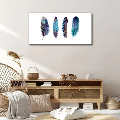 Colorful Feathers on White Background Print on canvas