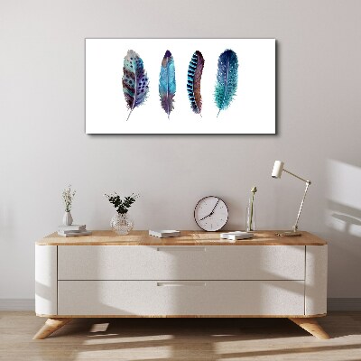 Colorful Feathers on White Background Print on canvas