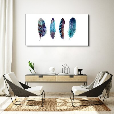 Colorful Feathers on White Background Print on canvas