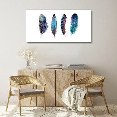 Colorful Feathers on White Background Print on canvas