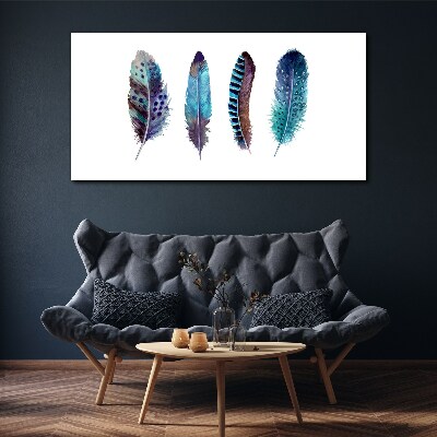 Colorful Feathers on White Background Print on canvas