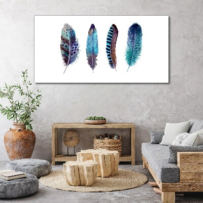 Colorful Feathers on White Background Print on canvas