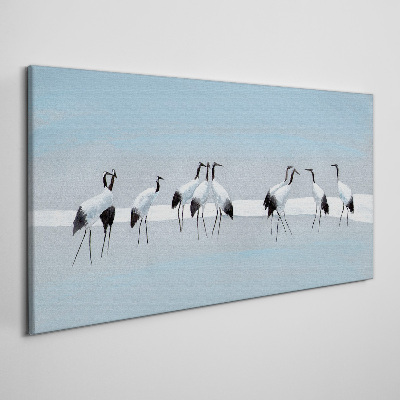 Animals birds Canvas Wall art