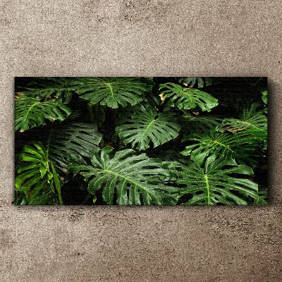 Plant leaves Canvas Wall art