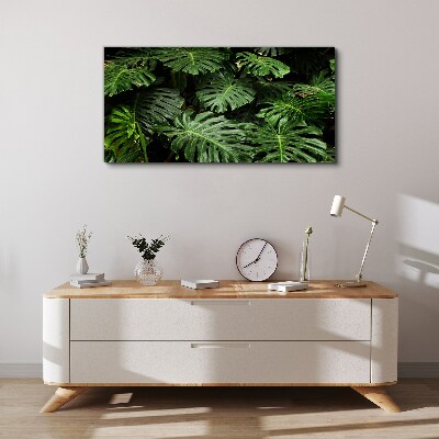 Tropical Monstera Leaves Canvas wall art