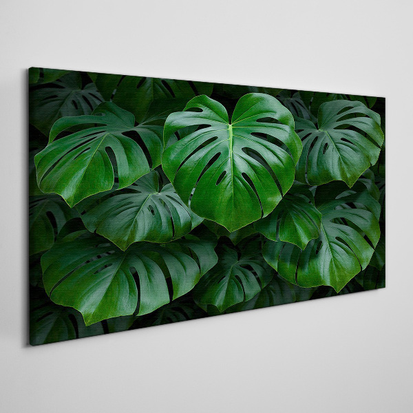 Green Symphony of Monstera Leaves Print on canvas