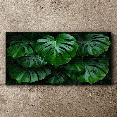 Green Symphony of Monstera Leaves Print on canvas