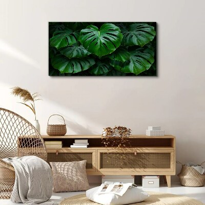 Green Symphony of Monstera Leaves Print on canvas