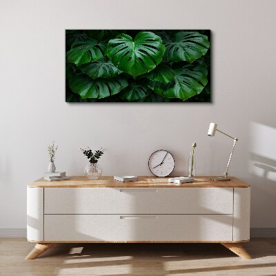 Green Symphony of Monstera Leaves Print on canvas