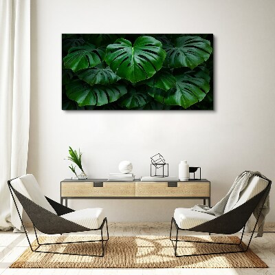Green Symphony of Monstera Leaves Print on canvas