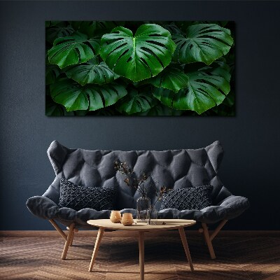 Green Symphony of Monstera Leaves Print on canvas