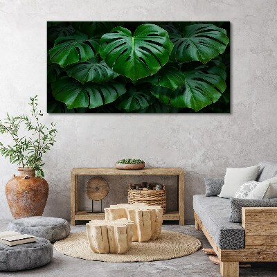 Green Symphony of Monstera Leaves Print on canvas