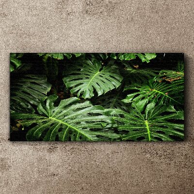 Green jungle Canvas wall art