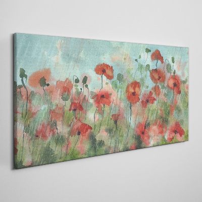 Flowers plants poppies rain Canvas Wall art