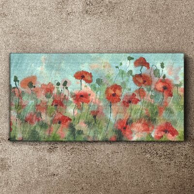 Flowers plants poppies rain Canvas Wall art