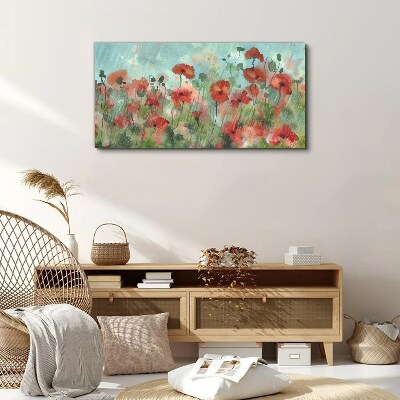 Flowers plants poppies rain Canvas Wall art