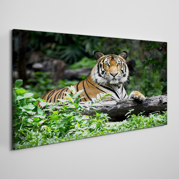 Tiger in the green forest Canvas wall art