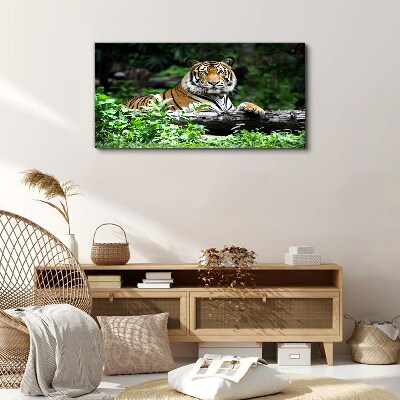 Tiger in the green forest Canvas wall art